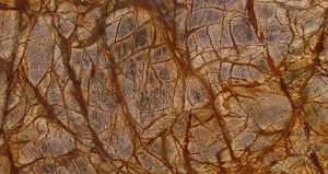 Rainforest Brown Marble